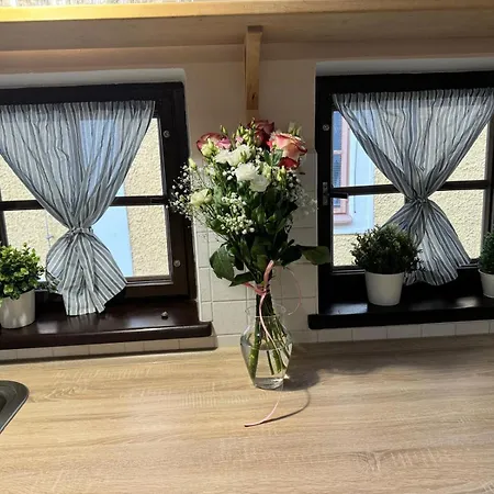 U Zamku Apartment *